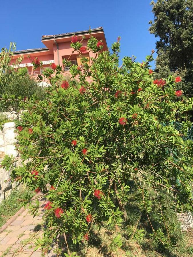 Apartamento Matovica *