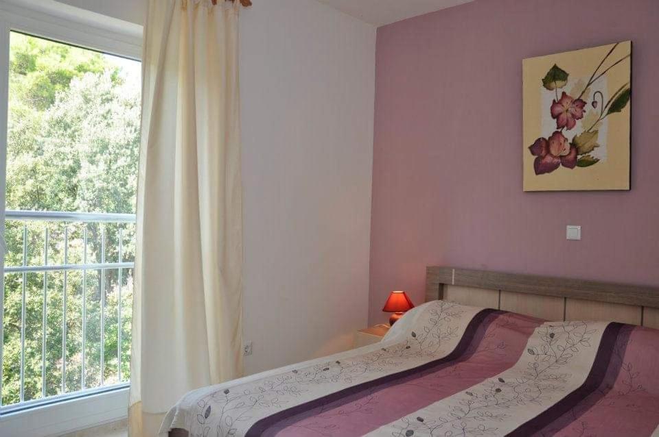 Apartment Matovica *