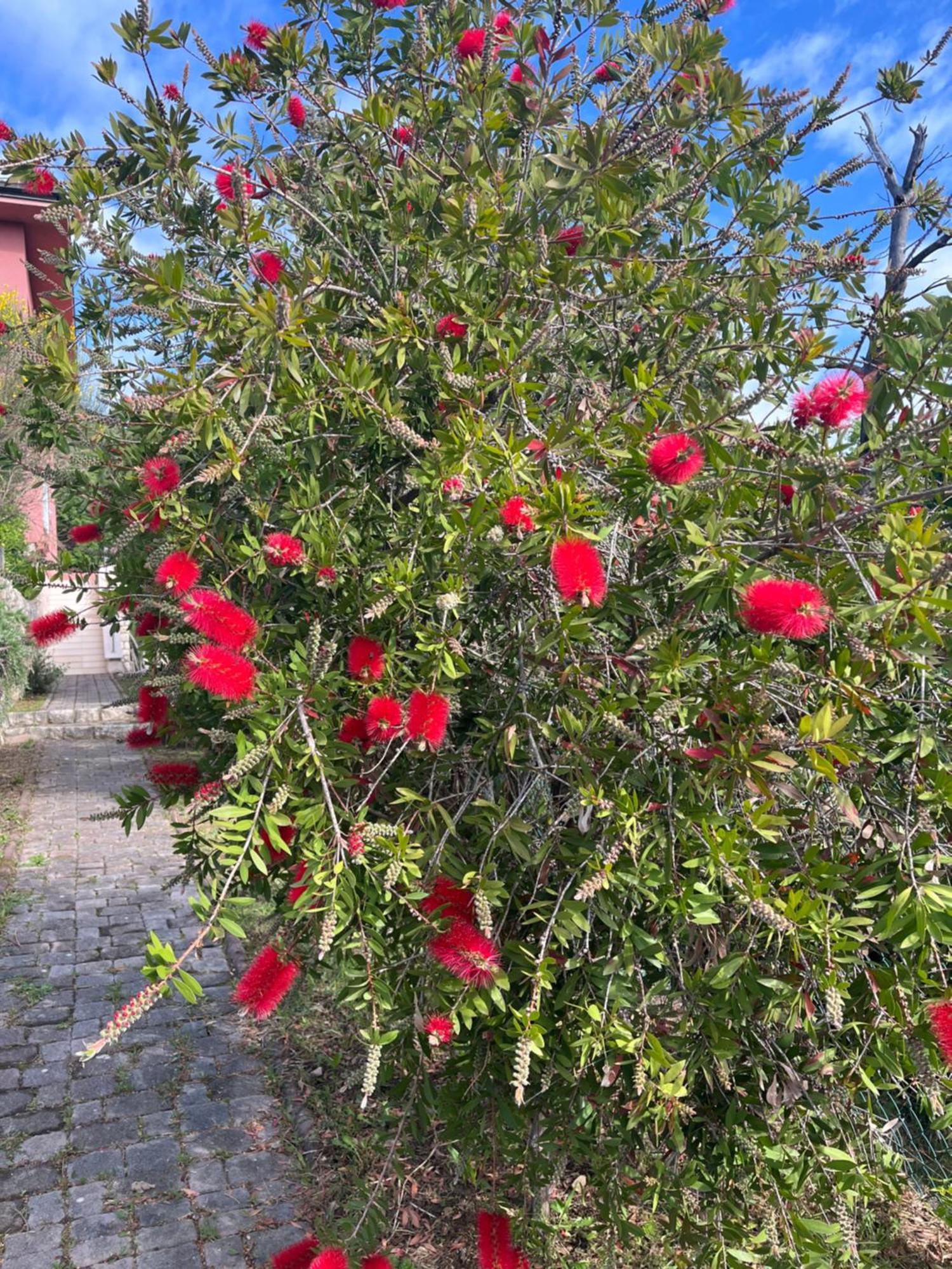 Matovica Apartment *