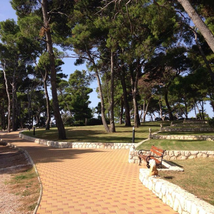 Matovica Apartment *